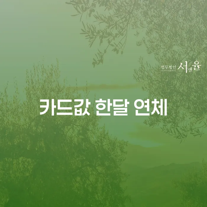 법원 개인회생 개인회생으로 해결방법 경험 많은 곳에서