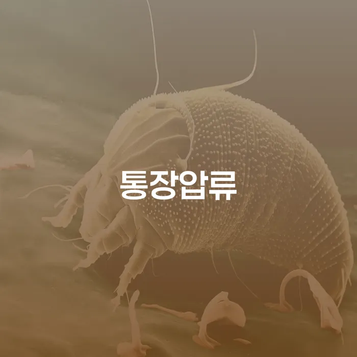 카드론연체 워크아웃 이렇게 진행을
