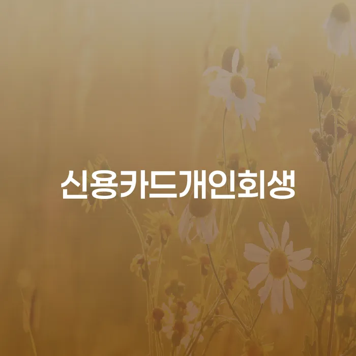 도봉구 파산절차 개인회생으로 해결 조건확인 하고