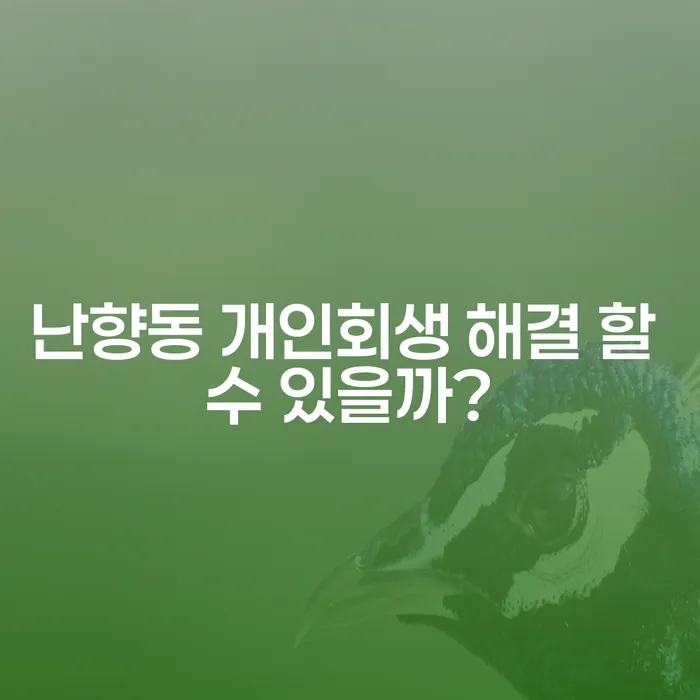 난향동 개인회생 해결 할 수 있을까?