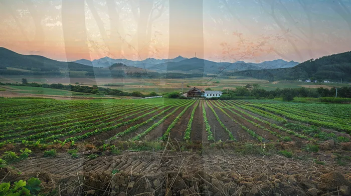 개인회생 성공 사례